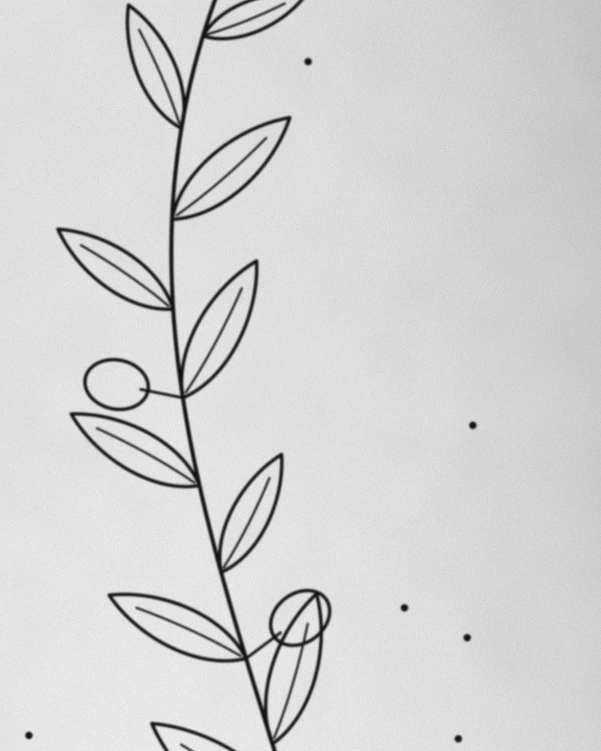Detalhe aproximado da tatuagem Ramo de oliveira