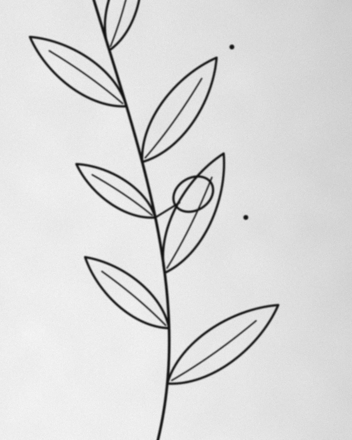 Segundo detalhe da tatuagem Ramo de oliveira, mostrando traço e textura