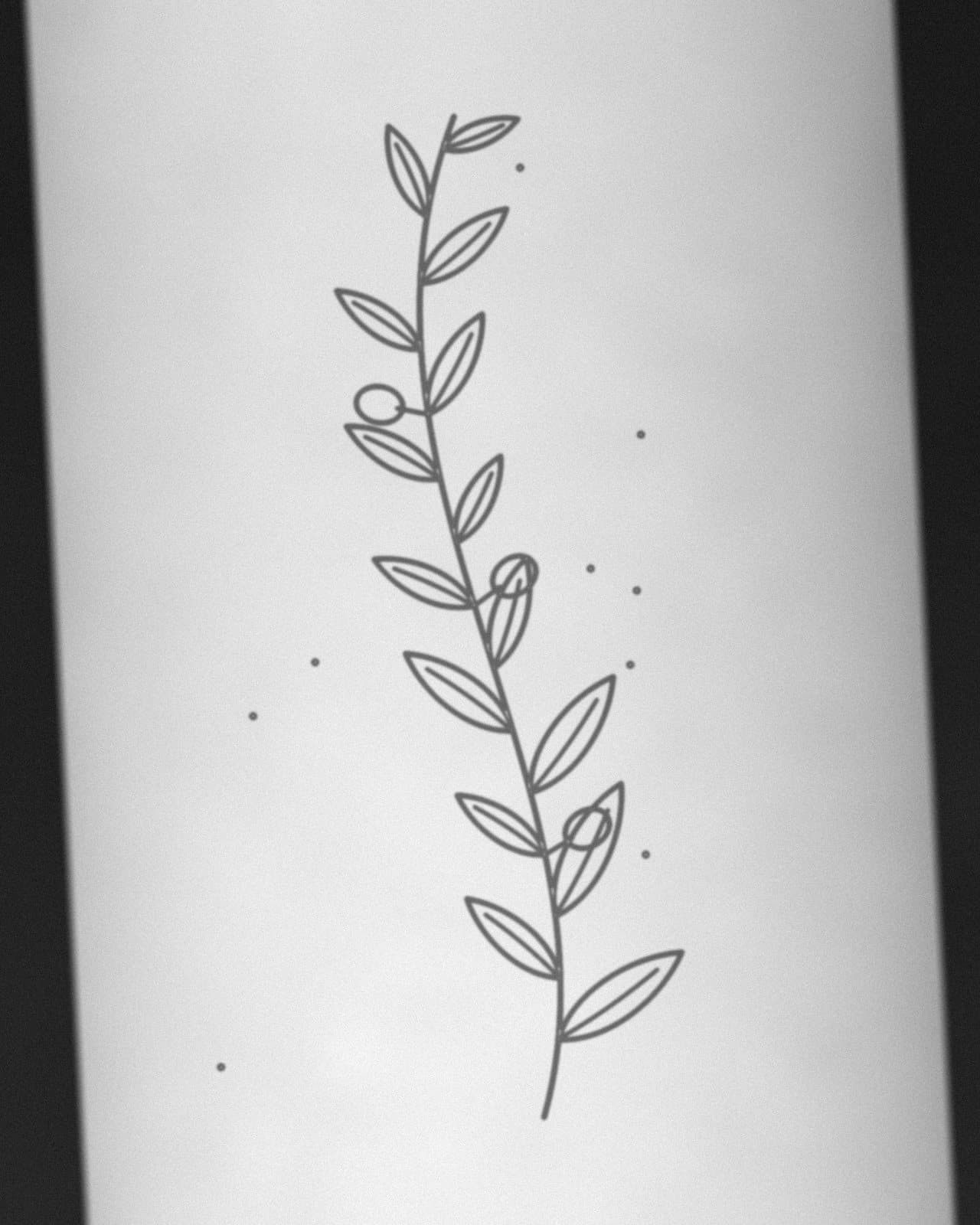 Stencil de Ramo de oliveira aplicado na pele antes da sessão