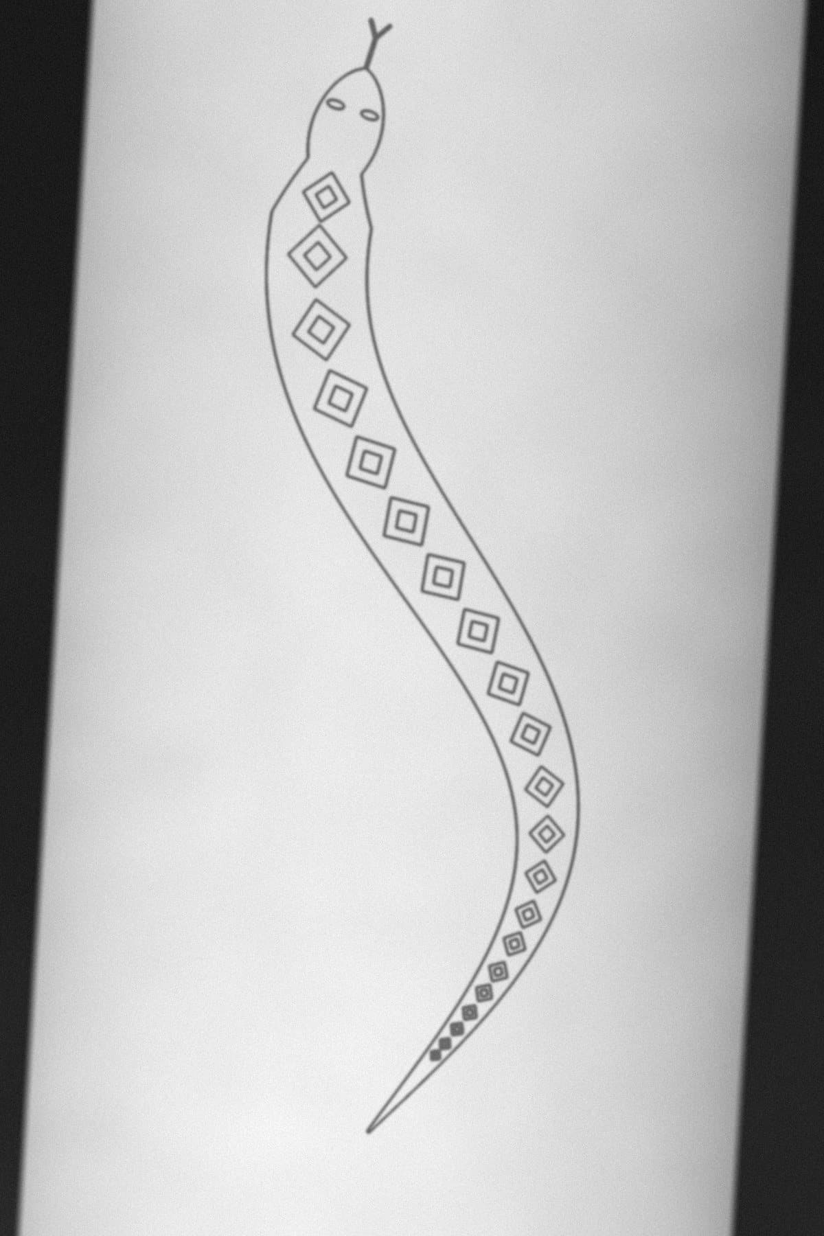 Stencil de Serpente aplicado na pele antes da sessão