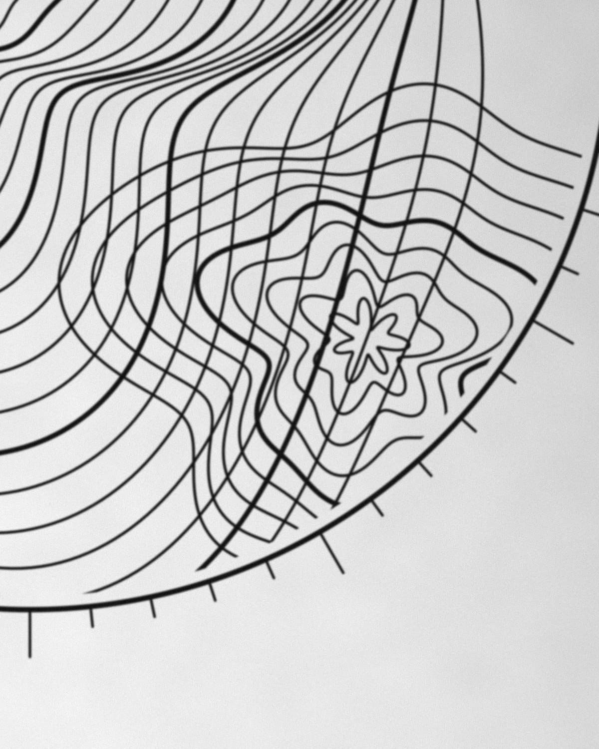 Segundo detalhe da tatuagem Topografia, mostrando traço e textura