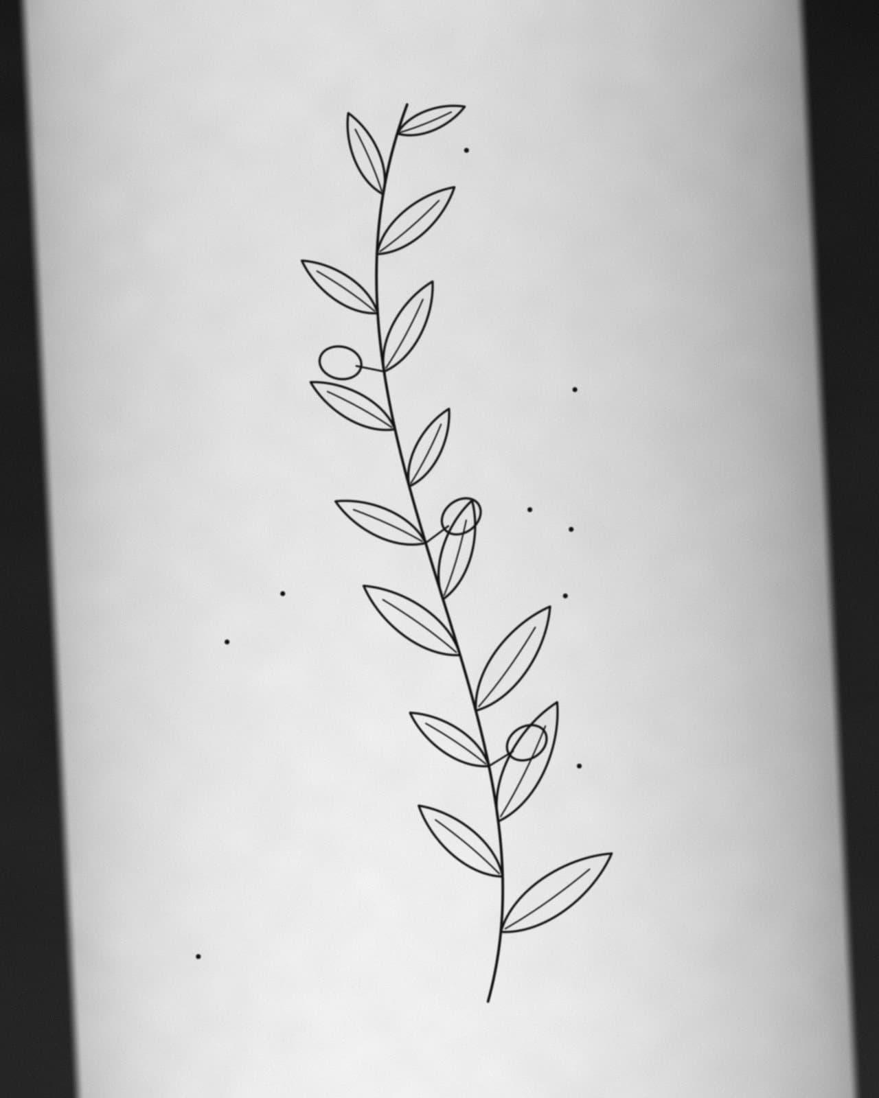 Tatuagem fine line de um ramo de oliveira com folhas alternadas no antebraço